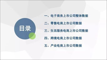 电子商务研究中心 2019上半年中国电商上市公司数据报告